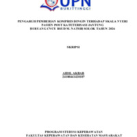 skripsi aidil akbar - servia monica.pdf